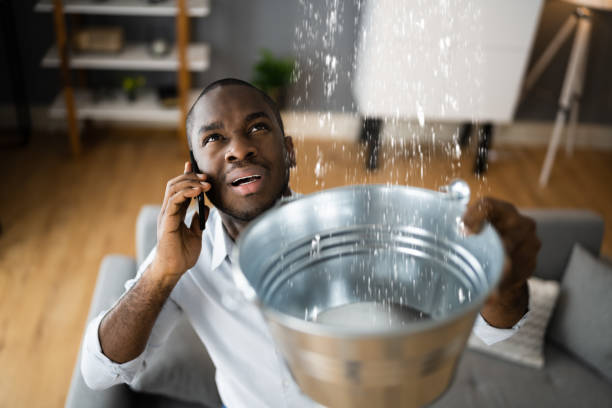 Best Water damage cleanup near me  in Decatur, IL