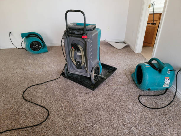 Best Flood damage cleanup  in Decatur, IL