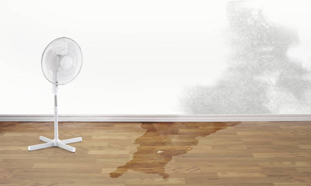 Best Ceiling water damage repair  in Decatur, IL