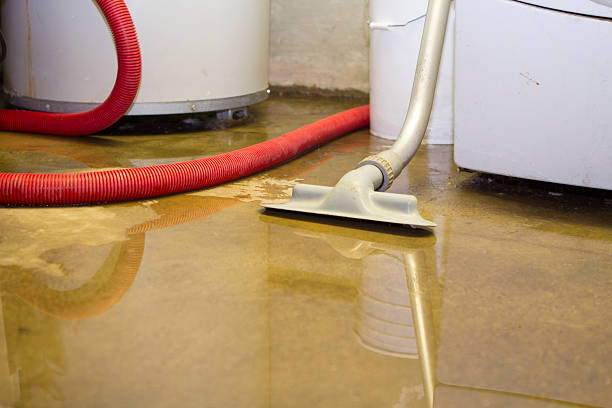 Best Professional water damage repair  in Decatur, IL