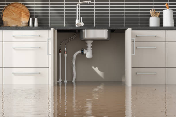Best Water damage restoration cost  in Decatur, IL