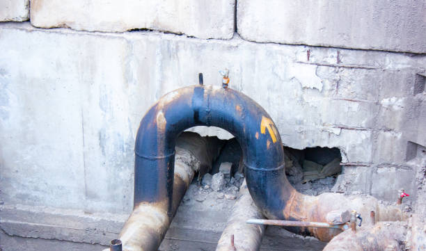 Best Mold removal after water damage  in Decatur, IL